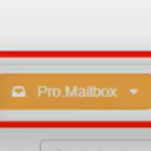 Open the 'Pro Mailbox' section